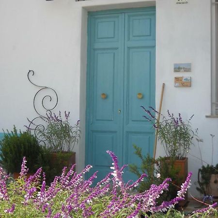 Giardino Della Moscatella Bed & Breakfast Алтамура Екстериор снимка