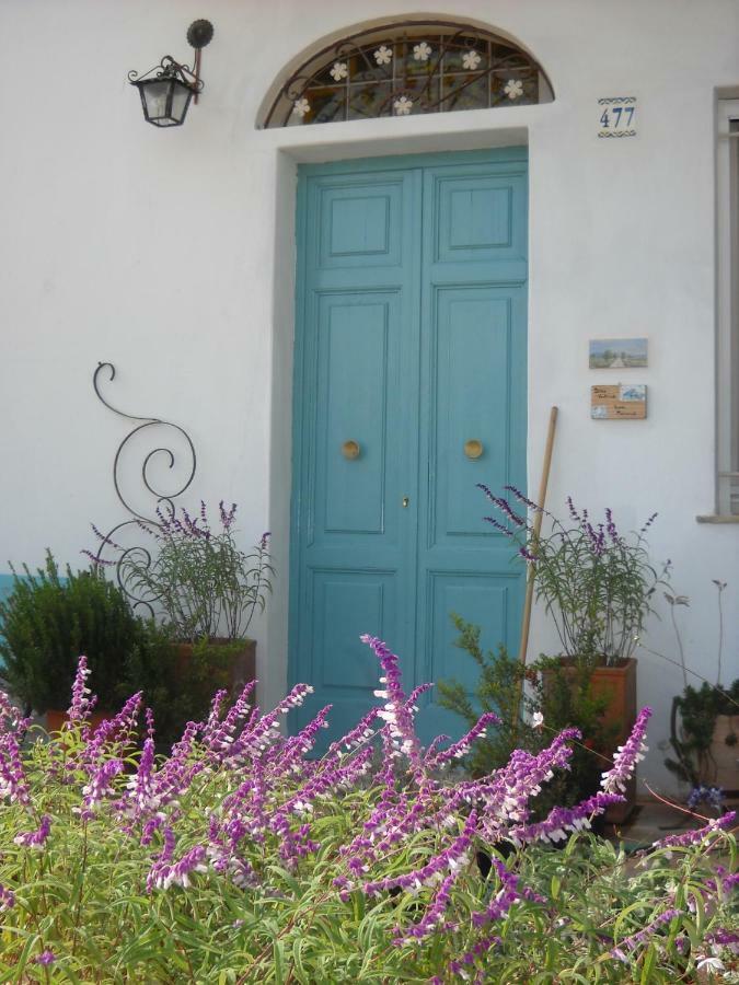 Giardino Della Moscatella Bed & Breakfast Алтамура Екстериор снимка