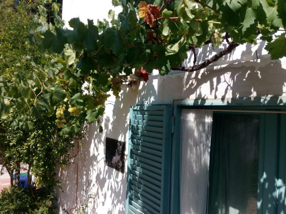 Giardino Della Moscatella Bed & Breakfast Алтамура Екстериор снимка