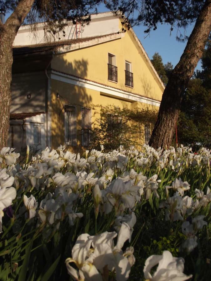 Giardino Della Moscatella Bed & Breakfast Алтамура Екстериор снимка